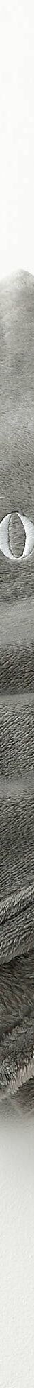Plaid polaire personnalisable, toucher peluche (anthracite) Plaid polaire personnalisable, toucher peluche (anthracite)